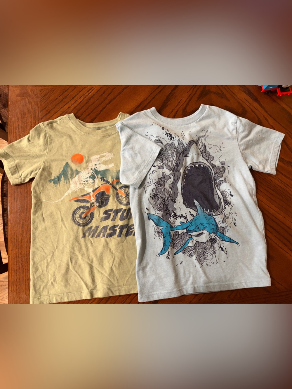 Place Boys' Short Sleeve Tees - Light Blue & Olive Green Graphic Set